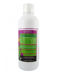 A-Micsur Calcio 500 cc 2